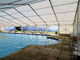 Building Semi Permanent Shade Sport Tent For 200 Square Meters Indoor Swimming Pool