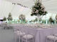 A Frame Clear Span Tent , White Marquee Tents For Outdoor Event Celebrations
