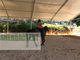10000-100000 Square Feet Aluminum Structure Tent Large Equestrian Riding Arenas Temporary Permanent Building
