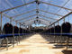 Double PVC Coated Clear Luxury Wedding Tents For Event