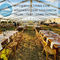 1000 Person Luxury Party Tents for Sale, Wedding Marquee With Lining Decorations