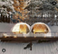 Geodesic Dome 7m Interior Design Dome House Glamping Tent For Outdoor